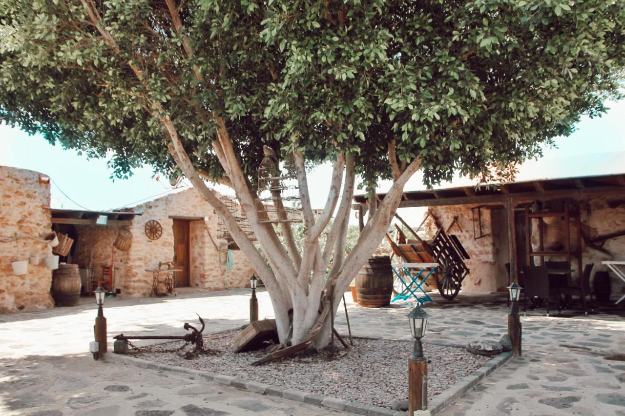 Agroturismo La Gayria Tiscamanita Exterior photo